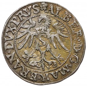 Albert Hohenzollern Grosz 1535