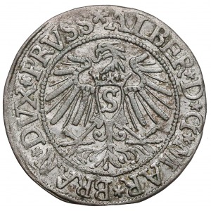 Albert Hohenzollern Grosz 1537