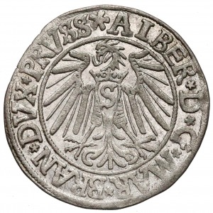 Albert Hohenzollern Grosz 1540
