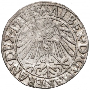 Albert Hohenzollern Grosz 1546