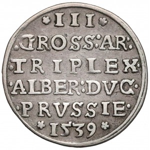 Albert Hohenzollern Trojak 1539
