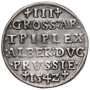 Albert Hohenzollern Trojak 1542