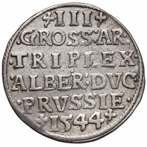 Albert Hohenzollern Trojak 1544