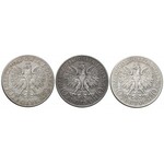 ZESTAW 9 szt. ciekawych monet IIRP - Odwrotka, Sztandar, Traugutt, Sobieski