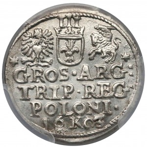 3 Grosze, Krakau 1603