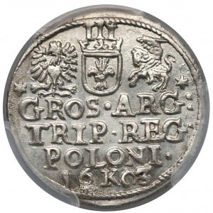 Trojak Kraków 1603