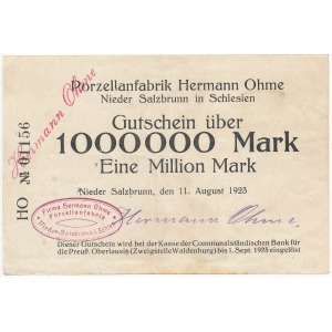 Szczawienko (Nieder Salzbrunn), Hermann Ohme 1 milion marek 1923