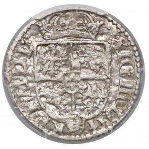 3 Polker, Vilnius 1619 - Wadwicz in a shield - very rare
