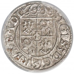 3 Polker, Bromberg 1619 - rosettes