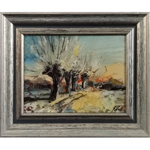 Grażyna MUCHA, Mazovian Willows