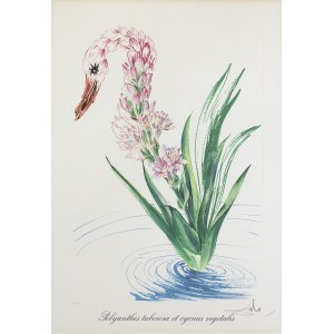 Dali Salvador, POLYANTHES TUBEROSA ET CYCNUS VEGETALIS, 1972