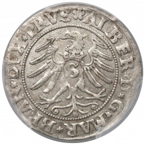 Prusy, Albert Hohenzollern, Grosz Królewiec 1531
