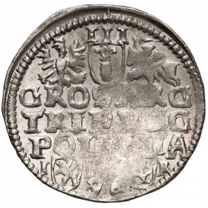 Zygmunt III Waza, Trojak Poznań 1596 - 96 u dołu rewersu