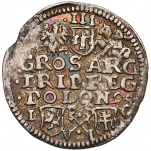 Zygmunt III Waza, Trojak Bydgoszcz 1595 - szerokie popiersie