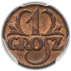 1 grosz 1923 - PCGS MS64 RB