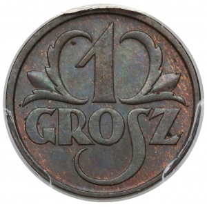1 grosz 1934 - PCGS MS63 BN