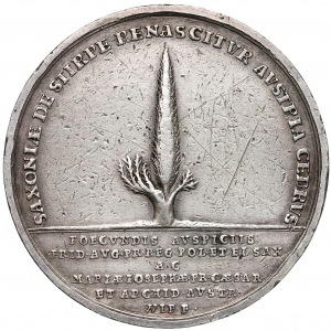 August III, Medal Na pamiątkę narodzin księcia Fryderyka Augusta 1720 r. (Wif)