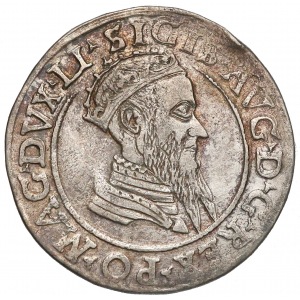 Sigismund II Augustus, Czworak (4 grosz) Vilnius 1569