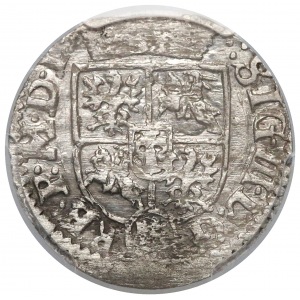 Zygmunt III Waza, Półtorak Wilno 1620 - Wadwicz pod Jabłkiem - rzadkość
