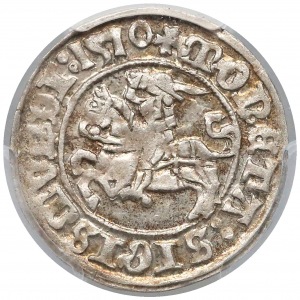 Sigismund I the Old, Półgrosz Vilnius 1510