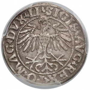 Sigismund II Augustus, Półgrosz Vilnius 1550