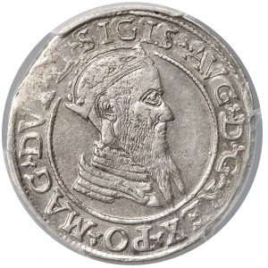 Sigismund II Augustus, Czworak (4 grosz) Vilnius 1568