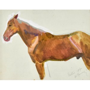 Stanisław KAMOCKI (1875-1944), Studium stojącego konia z lewego profilu, 1917
