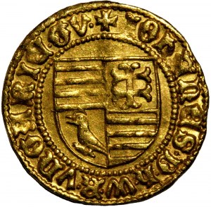 Hungary - Johann Hunyadi Goldgulden (1446-1447) Neustadt