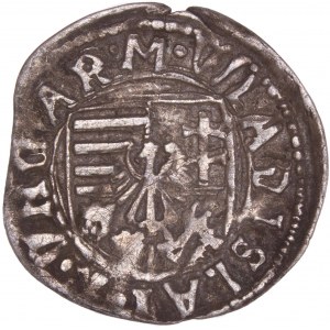 Hungary - Wladislaw II. (1490-1516) Denar