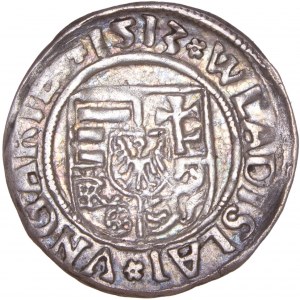 Hungary - Wladislaw II. (1490-1516) Denar 1513 K-G