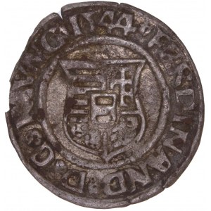 House of Habsburg - Ferdinand I. (1521-1564) Denar 1544