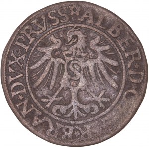 German States – Poland – Prussia – Herzog Albrecht 1535 Groscen