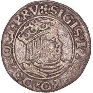 Poland – Sigismund – Danzig / Gdansk Groschen - 1531