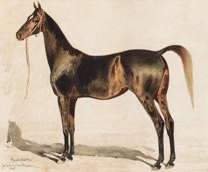 Juliusz Holzmüller (1876 Bolechów – 1932 Lwów), Portret konia angielskiego - Hindostanka, 1906 r.