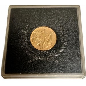 Japan Montreal Olympic Games Commemorative Medal 1976