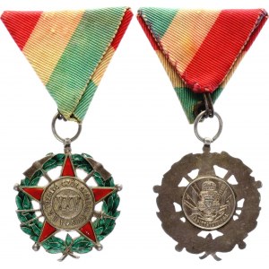 Austria - Hungary Fireman's Association 25 Years of Service Medal 1884