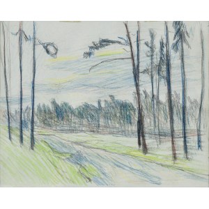 Stanislaw KAMOCKI (1875-1944), Road in the forest, ca. 1908