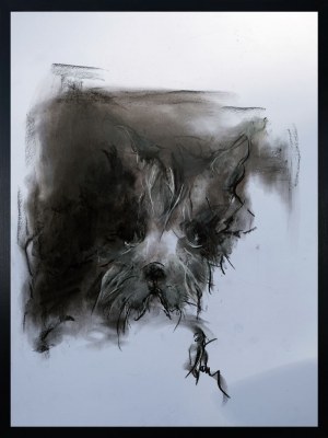 Bożena Wahl, Portret psa, 2021