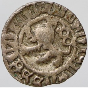 Vladislav II. (1471-1516). Bílý peníz jednostr., blíže neurč.