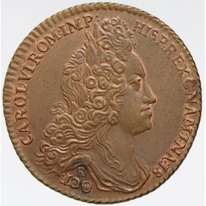 Žeton na holdování v Namuru 1717. Portrét, opis / v kartuši lev, opis. Bronz 30 mm (10,01 g). Novák-III/XI...