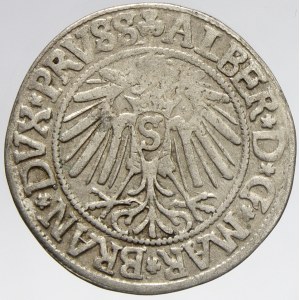 Prusko. Albrecht Braniborský (1525-69). Groš 1542. SJ-5076/2678. dr. kor., část. nedor.