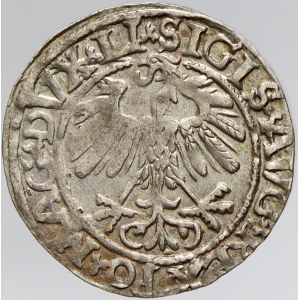 Polsko. Zikmund II. August. ½ gorš 1558 pro Litvu. nedor.
