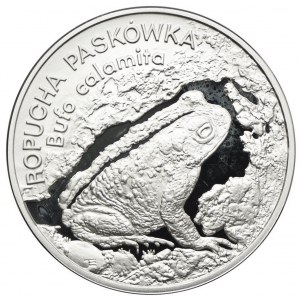 20 złotych 1998, Ropucha