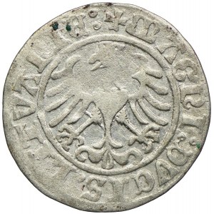 Sigismund I. der Alte, halber Pfennig 1509, Vilnius