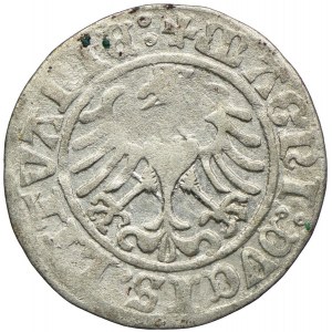 Sigismund I the Old, half-penny 1509, Vilnius