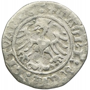 Sigismund I the Old, half-penny 1514, Vilnius