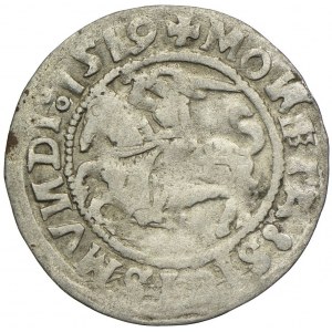 Sigismund I. der Alte, halber Pfennig 1519, Vilnius