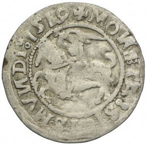 Sigismund I the Old, half-penny 1519, Vilnius