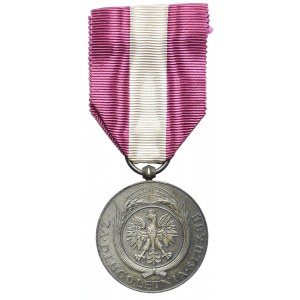 Srebrny Medal za Długoletnią Służbę (XX lat), srebro