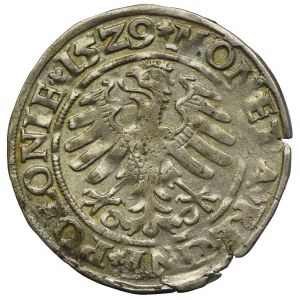 Sigismund I. der Alte, Pfennig 1529, Krakau